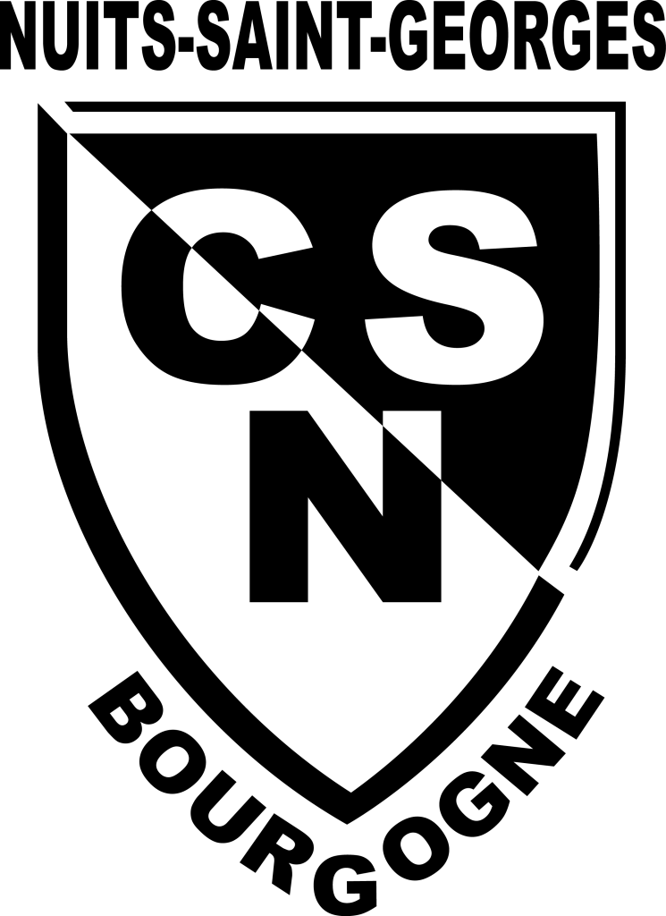 LOGO CSN